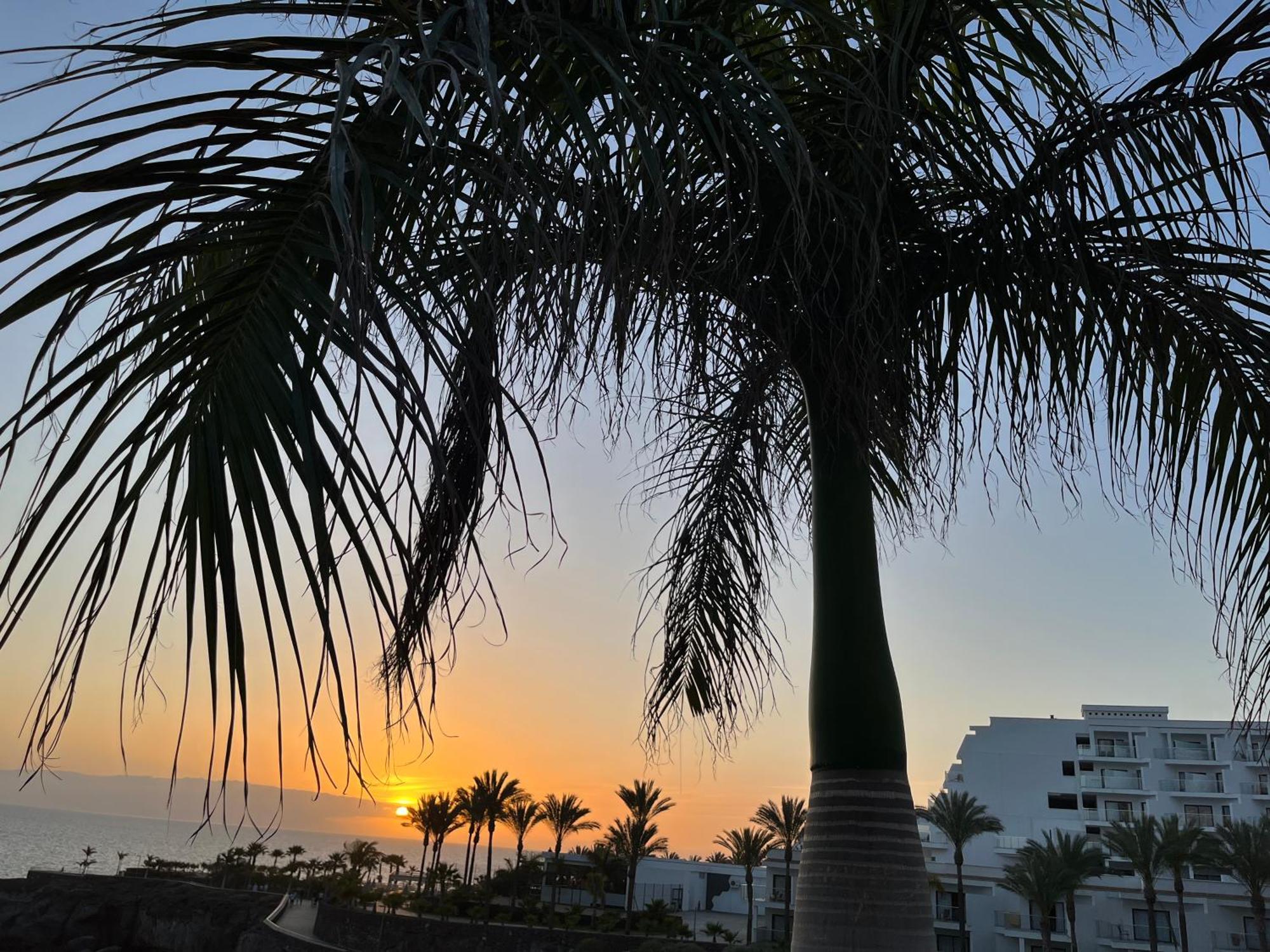 Ocean View Apartment In Club Paraiso, Pp139 Costa Adeje  Exterior photo